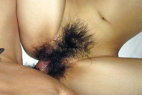 7P Chinese Amateur Bush