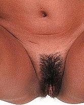 15P Vagina&Pussy