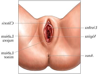 23P Vagina&Pussy