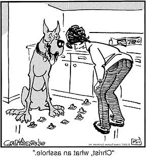 25P Random Altered Cartoons