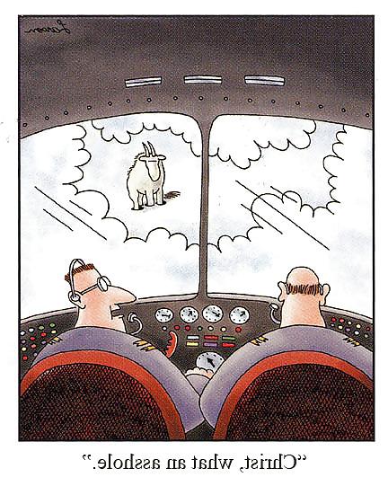 25P Random Altered Cartoons