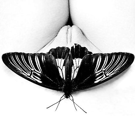25P Erotic Close-Up's - Session 4