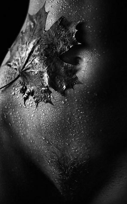 25P Erotic Close-Up's - Session 4