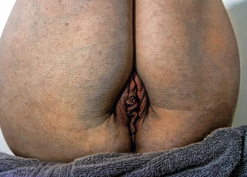23P Photoshop fun  ( Close-up )