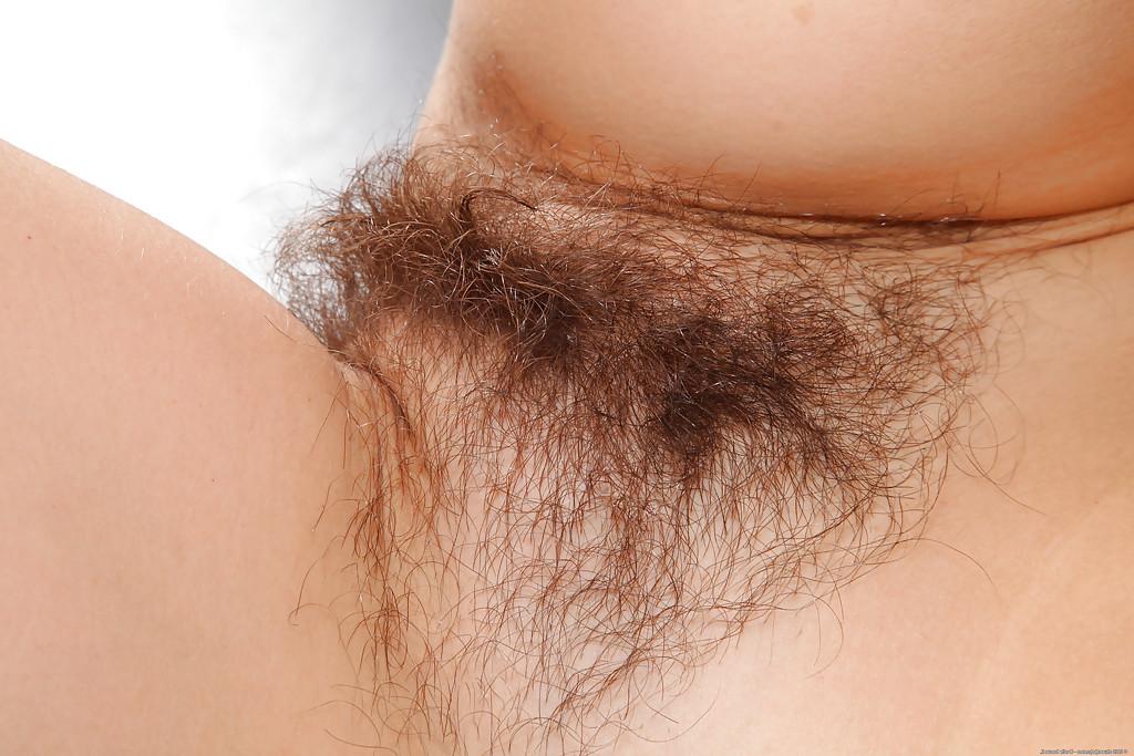 16P Agreeable hairy brunette Victoria needs a good cock up her cunny