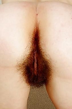 25P Beautiful Hairy Close Up 8 by TROC