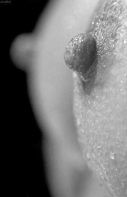 25P Erotic Close-Up's - Session 5