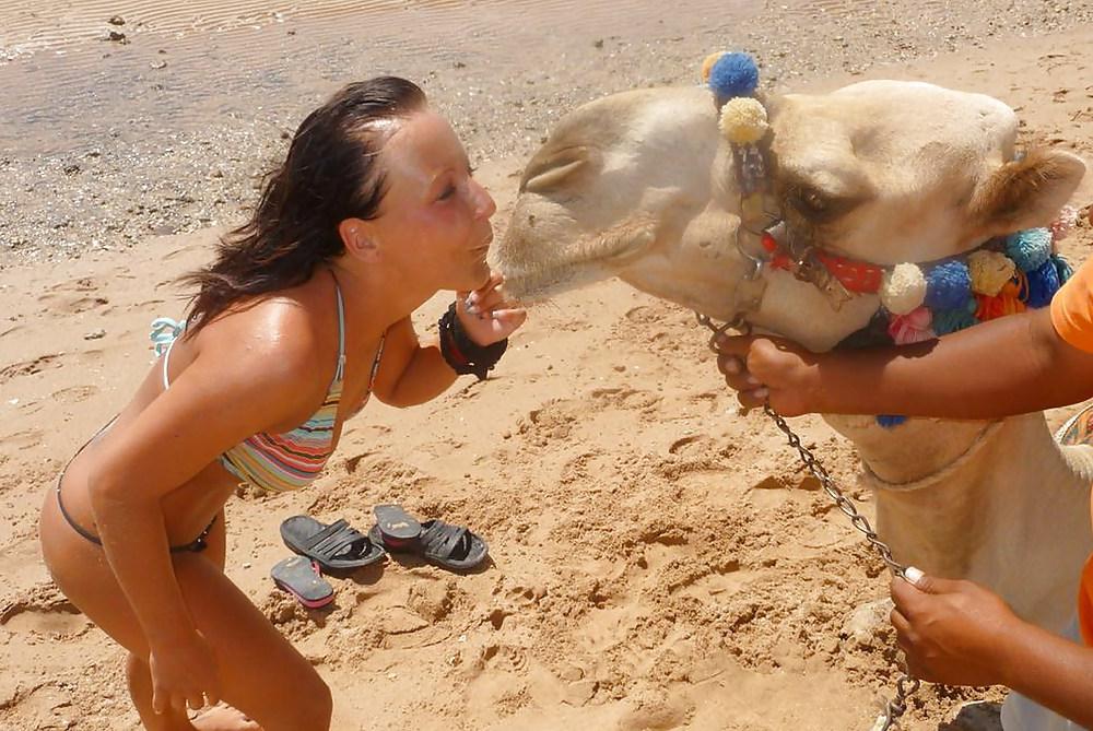 22P Vacation in Egypt 2