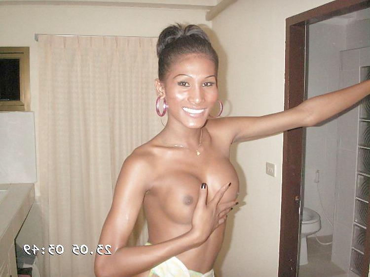 25P More thai ladyboys