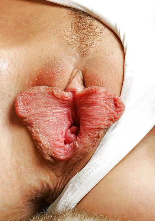 20P Pussy close up