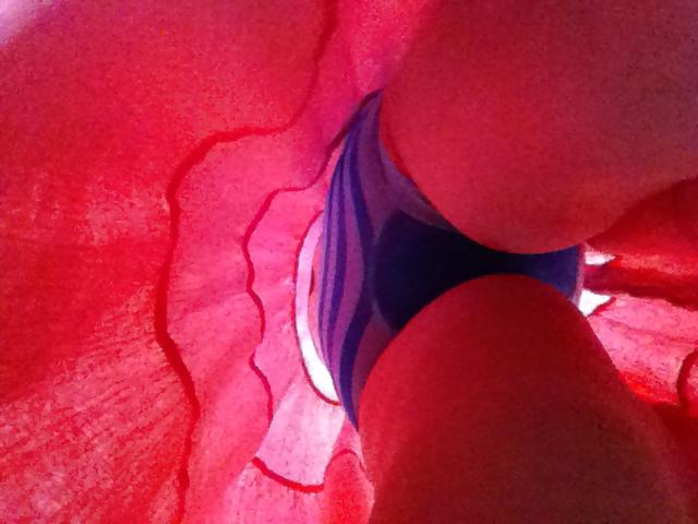 25P My Mom Upskirt 2