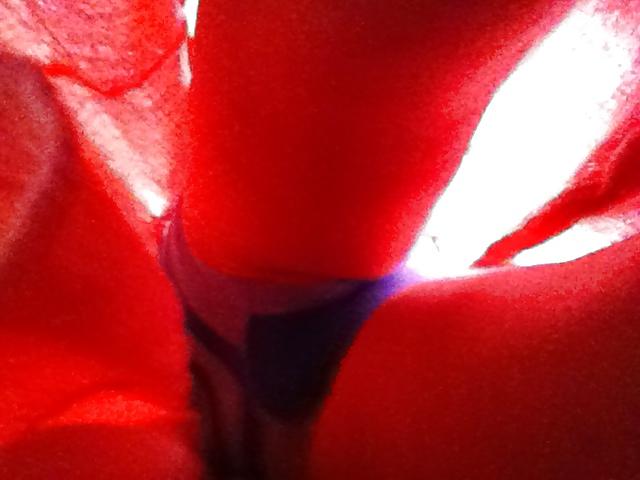 25P My Mom Upskirt 2