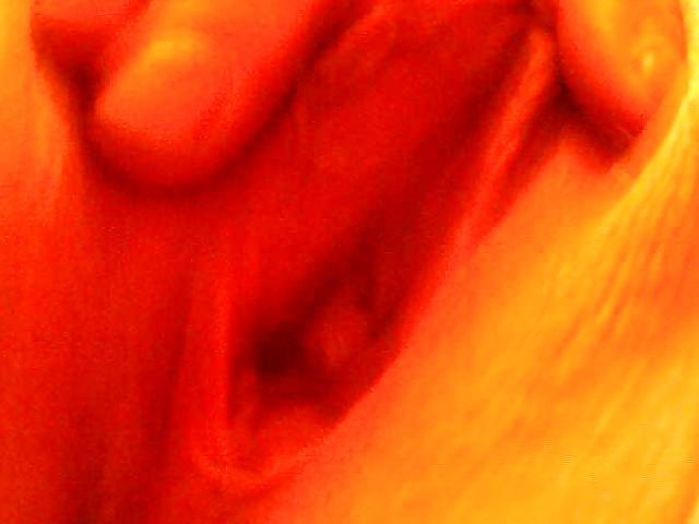 5P Vagina