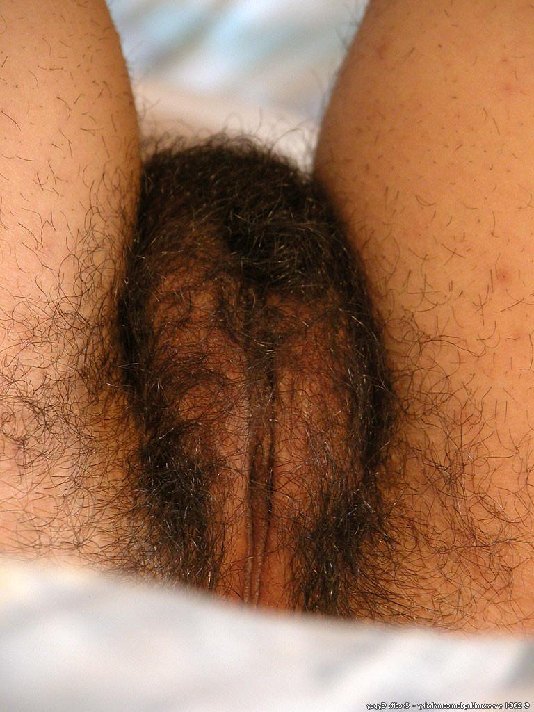 15P hairy girl shows off her pussy pie and perky tits