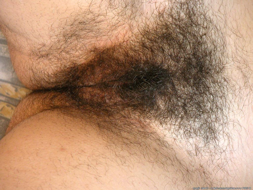 15P hairy girl shows off her pussy pie and perky tits
