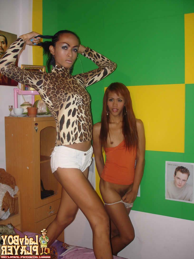 14P Two sexy ladyboy posing for the camera