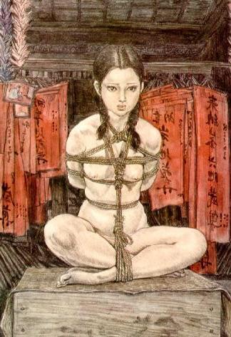 15P japanese rope bondage and sexual fetish artwork