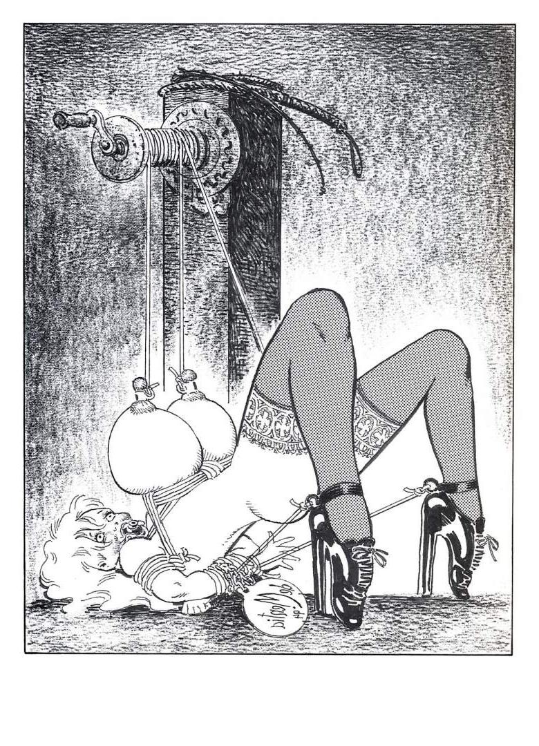 15P large round breasts rope tied for bondage sexual fetish artworks
