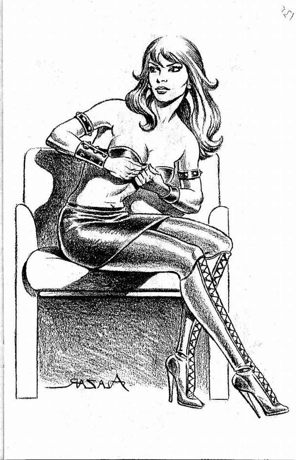 15P bizarre rope bondage evil beautiful female pain artworks