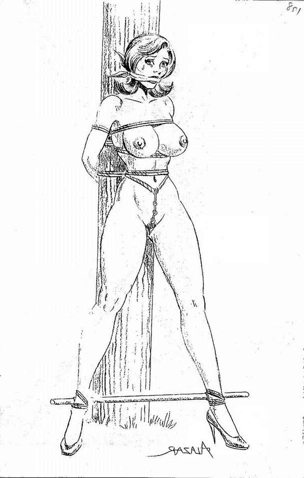 15P bizarre rope bondage evil beautiful female pain artworks