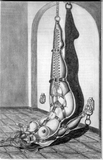 15P wrists ankles tied with rope evil bdsm