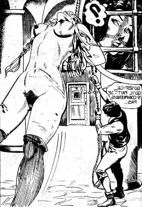 15P bizarres Seil-BDSM, das sie zum Schreien bringt