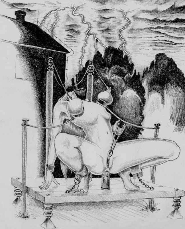 15P bizarres Seil-BDSM, das sie zum Schreien bringt