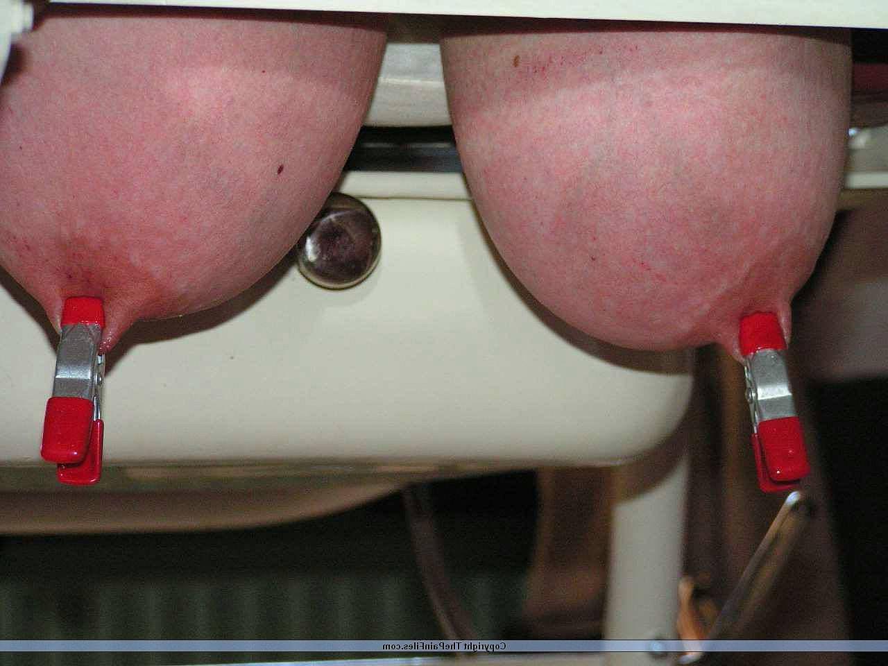 16P Busty amateur mature has her big boobs clamed and tied in the du