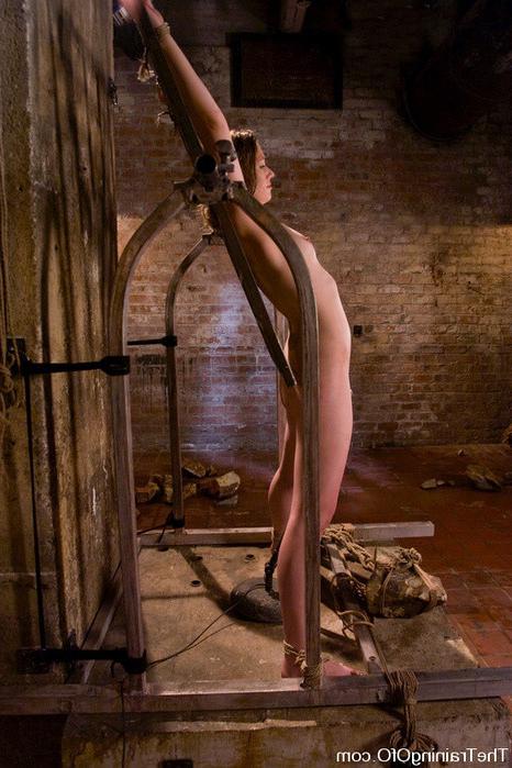 15P The Training of O is the premier website featuring the erotic training of female
