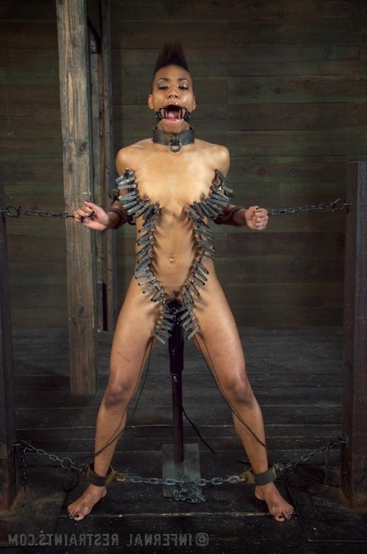 16P Nikki Darling Ebony wird in Lederriemen gefesselt und vibriert