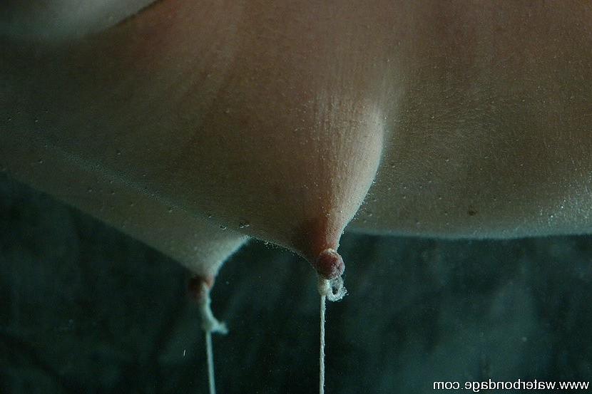15P Maya Matthews brunette in rope bondage is dunked