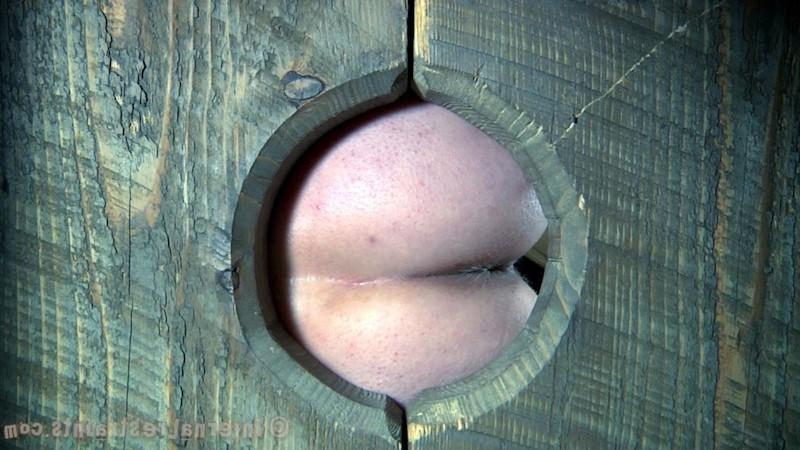 16P Matt wants to stick his dick into Cherry Torn. It is obvious why. Her tits are 