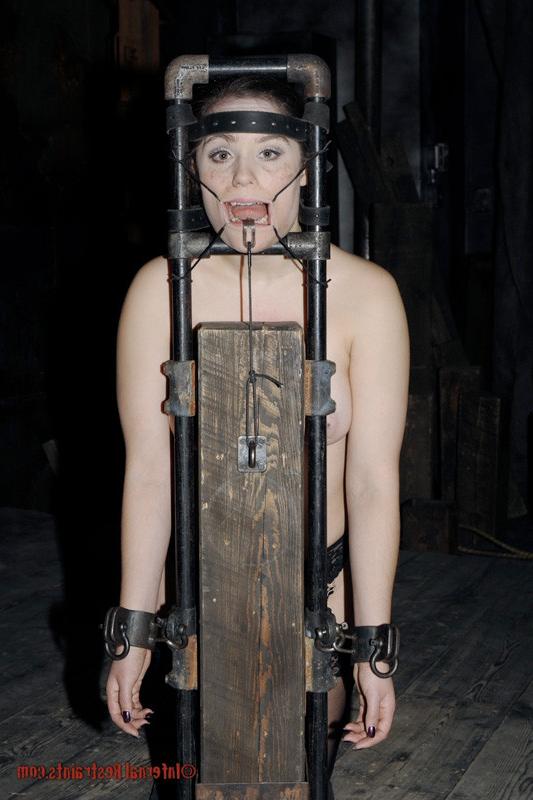 16P PD is training more expert sluts and Charlotte is next. She has the basics down,