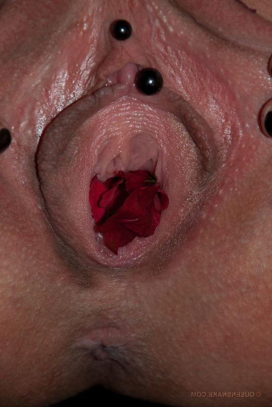 15P Queensnake inserts flowers up her vagina