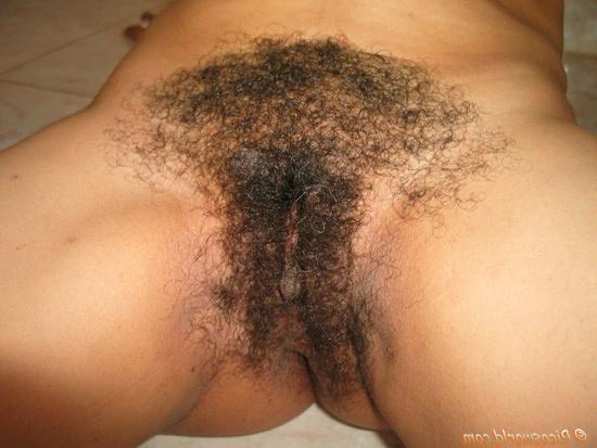 15P wooly bush on this black girl