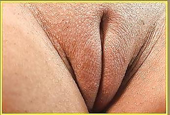 25P Vagina
