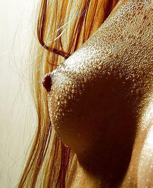 17P Nipples 2