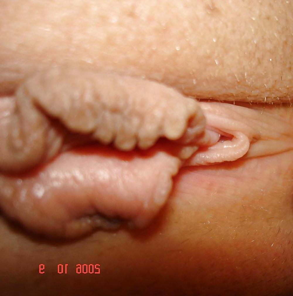 25P Close-up Cunts! Vol.1