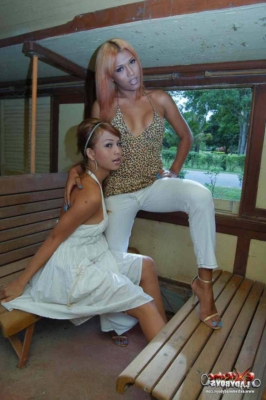 16P Two hot ladyboys getting fucked