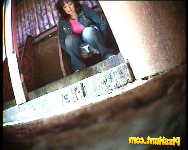 14P Pissing chick get busted and filmed in park loo 