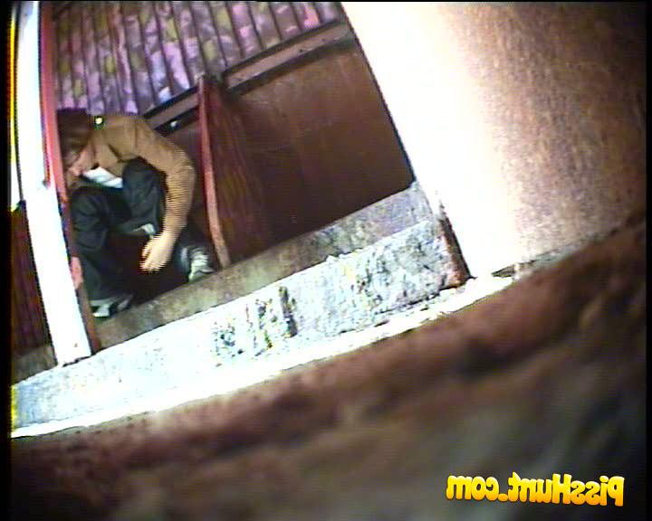 14P Blonde babe pissing in a spycammed park toilet 