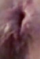 25P Extreme Close up  Pics