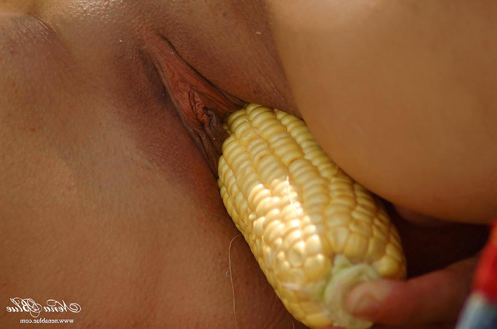 12P Vegetable