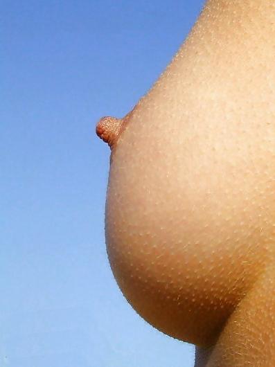 25P Nipples
