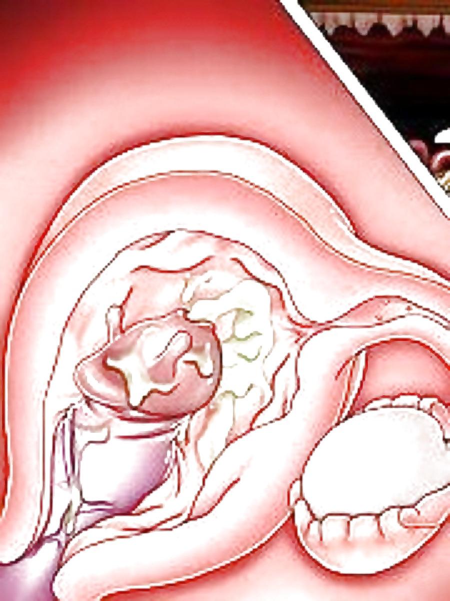 25P Deep inside Hentai - Xray view