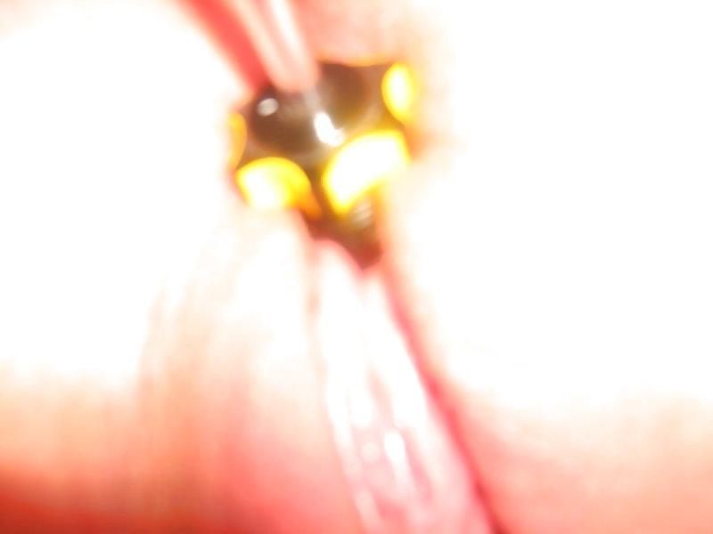 19P Mit Dildo, Vibrator und anderen Sachen