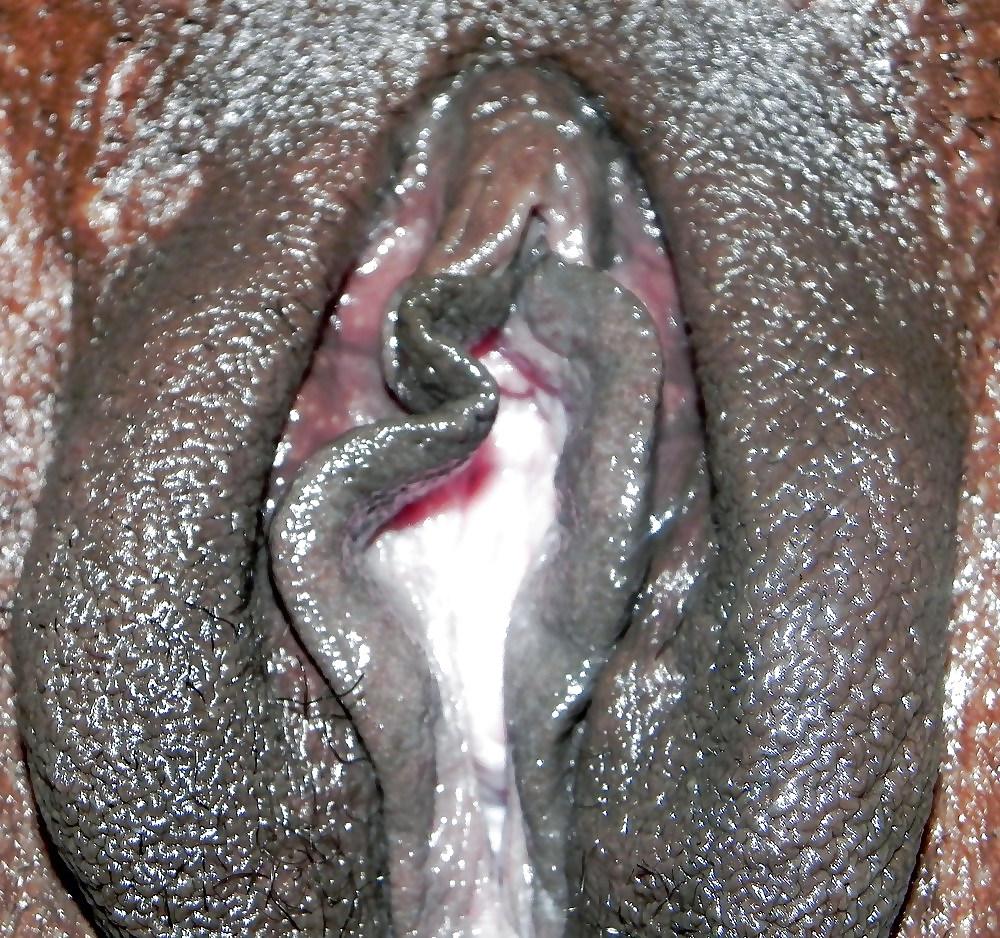 25P Some really Good Brown and Pink Pussy #2