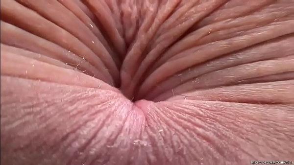 23P Close up assholes
