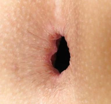 23P Close up assholes