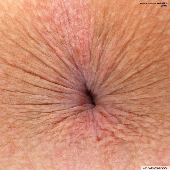 23P Close up assholes